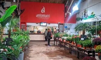 Antoniucci Vivero Productor