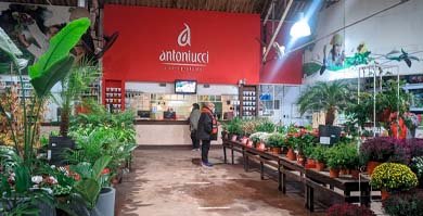 Antoniucci Vivero Productor