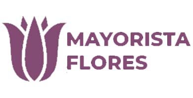 Mayorista Flores