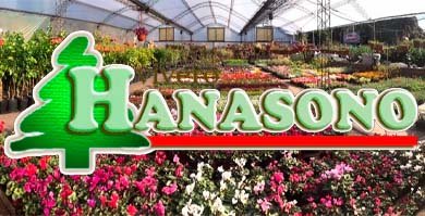 Nuevo Vivero Hanasono