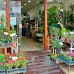 Vivero 58
