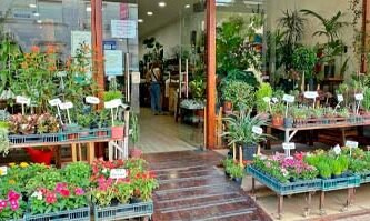 Vivero 58