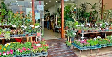 Vivero 58