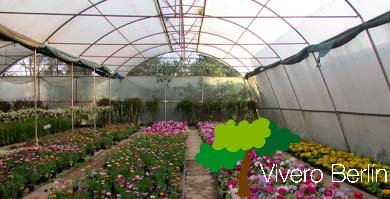 Vivero Berlín