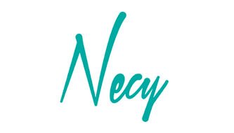 Necy Mayorista
